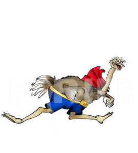 Vector White Empty paper sheet with curl