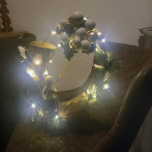 figurne2